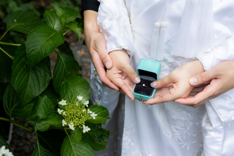 京都 あざらし堂 ー写真部ー_色打掛・着物が豊富