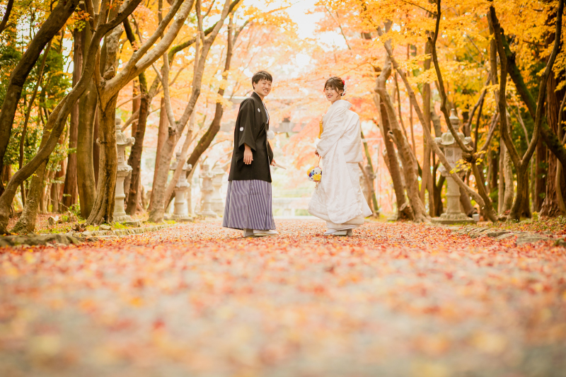 紅葉の期間がとてつもなく長い、西の方の神社
