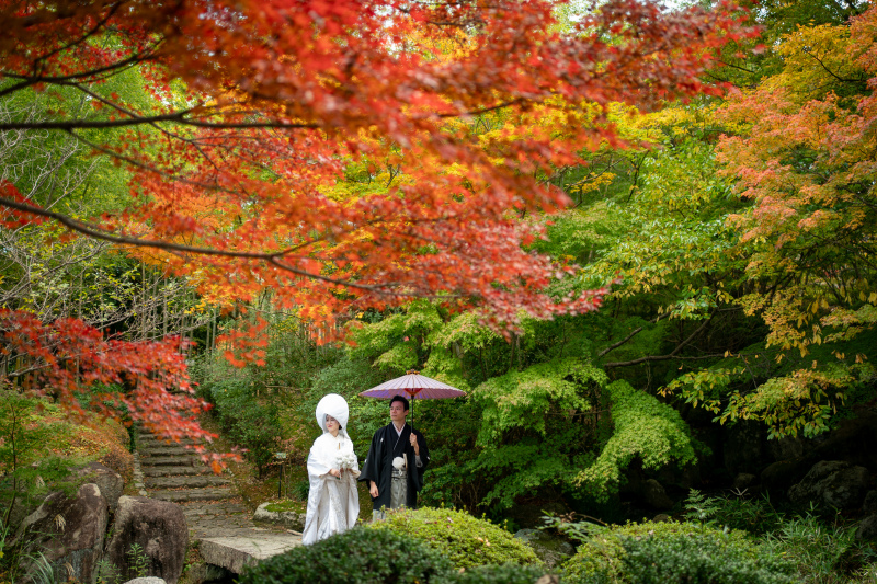 Point1 多彩な撮影シーン