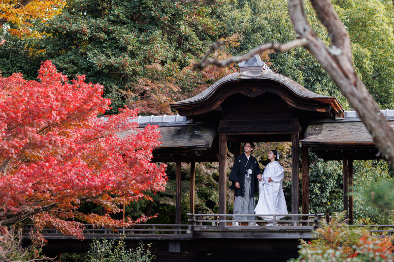 20以上ある撮影シーン