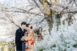 京都 あざらし堂 ー写真部ー_春撮影