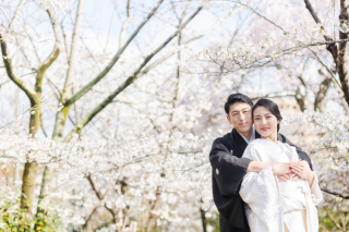 京都 あざらし堂 ー写真部ー_春撮影