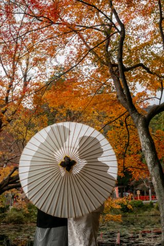 京都 あざらし堂 ー写真部ー_pickup Photo