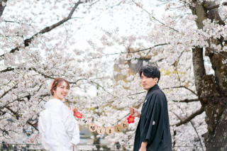 京都 あざらし堂 ー写真部ー_春撮影