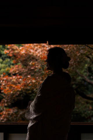 京都 あざらし堂 ー写真部ー_pickup Photo