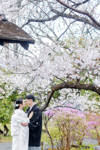 京都 あざらし堂 ー写真部ー_春撮影