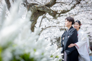 京都 あざらし堂 ー写真部ー_春撮影