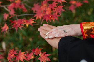 京都 あざらし堂 ー写真部ー_pickup Photo