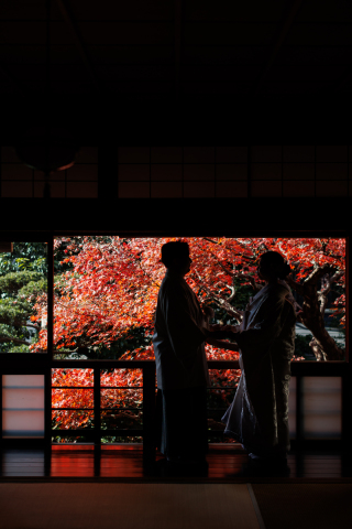 京都 あざらし堂 ー写真部ー_pickup Photo