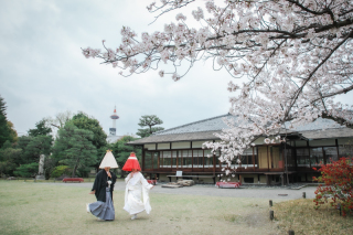 京都 あざらし堂 ー写真部ー_春撮影
