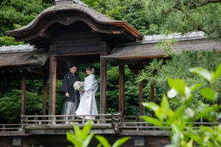 京都 あざらし堂 ー写真部ー_お寺で撮影（萬福寺・大覚寺・圓光寺・金戒光明寺・正寿院・渉成園）