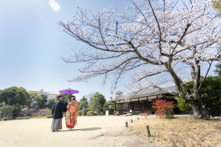 京都 あざらし堂 ー写真部ー_春撮影