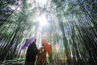 京都 あざらし堂 ー写真部ー_お寺に行こう！
