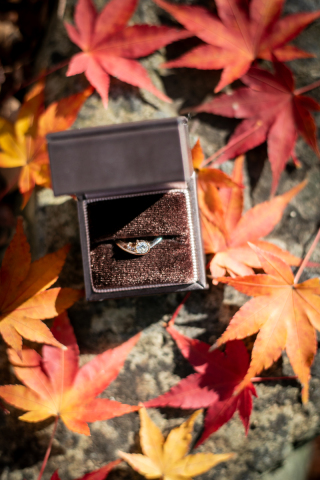 京都 あざらし堂 ー写真部ー_pickup Photo