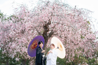 京都 あざらし堂 ー写真部ー_春撮影