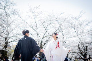 京都 あざらし堂 ー写真部ー_春撮影