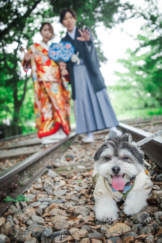 京都 あざらし堂 ー写真部ー_家族・ペットと撮影