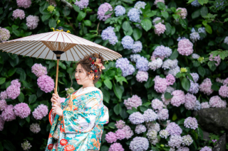 京都 あざらし堂 ー写真部ー_神社に行こう！