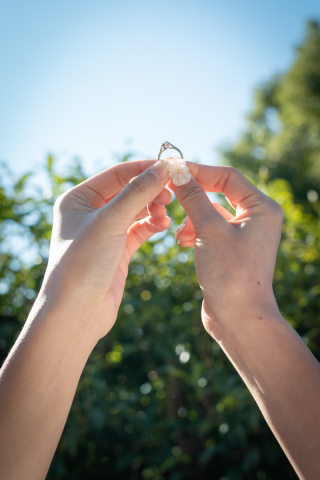 京都 あざらし堂 ー写真部ー_pickup Photo