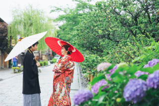 京都 あざらし堂 ー写真部ー_神社に行こう！