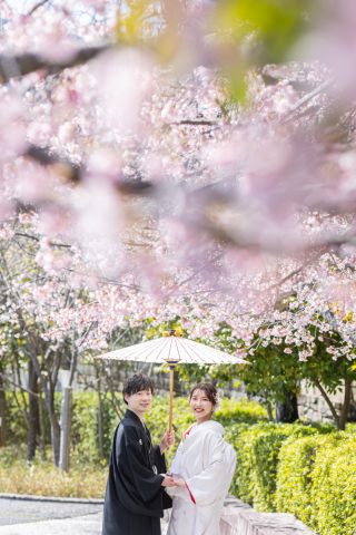 桜が咲くのが遅く、戸惑っていた時期にあざらし社長が必死になって探してきたロケ地での撮影