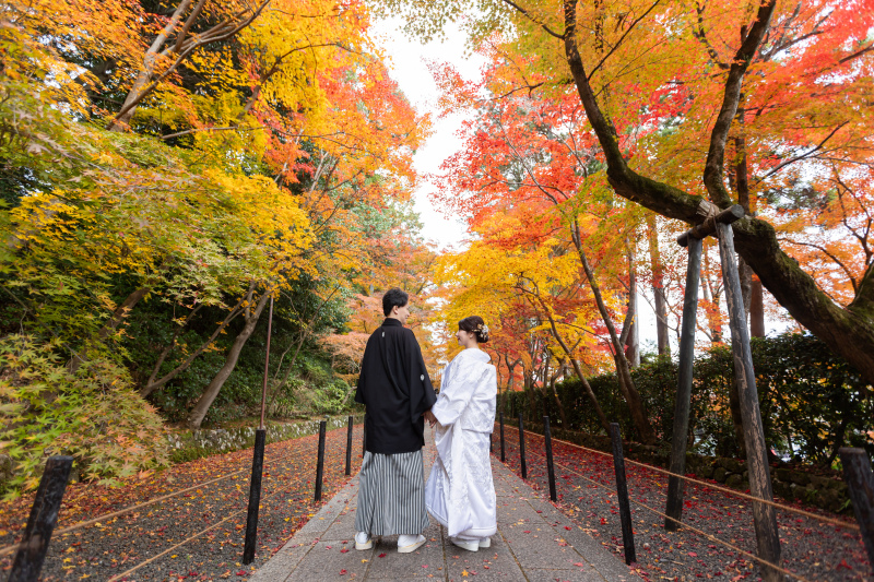 12月10日から25日撮影限定☆大原野神社・長岡周辺新婦様2着ロケ高速、神社利用料申請料込み→162,000円