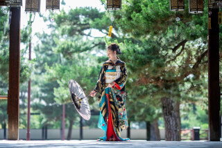 引振袖×白無垢（色打掛）　あざらし和室付き　外ロケ選べる２ヶ所or１ヶ所　175,000円→２万円値引き