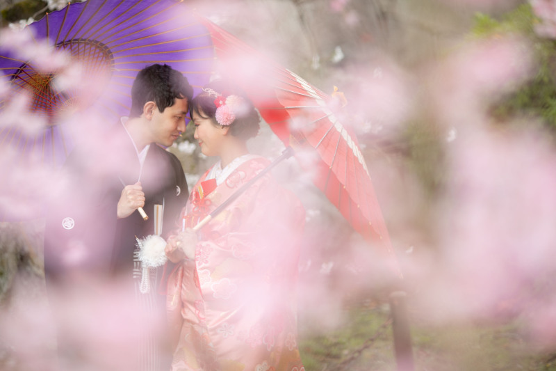 ☆春のお任せ☆お嫁様衣装２点　丸投げプラン　遠距離料金・金額残れば写真OP33,000円以上付き　&yen;176,000　当日衣装選び