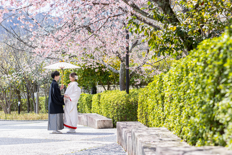<桜撮影!>☆白無垢色打掛両方!☆ロケ地2箇所でこの料金→149,800円気軽にお問合せを!