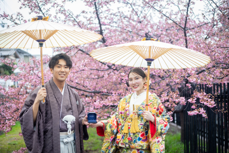 ＜10TH企画お試しP＞桜狙える？3月初旬河津桜&rarr;4月中旬八重桜　衣装１点打掛値上がり無し　ロケ地提案します！　10万円