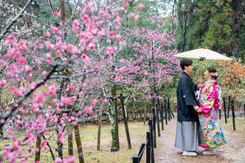 ＜お試し衣装1点プラン＞２月末まで限定！衣装1点　ロケと和室　9万円　打掛によって値上がりなし