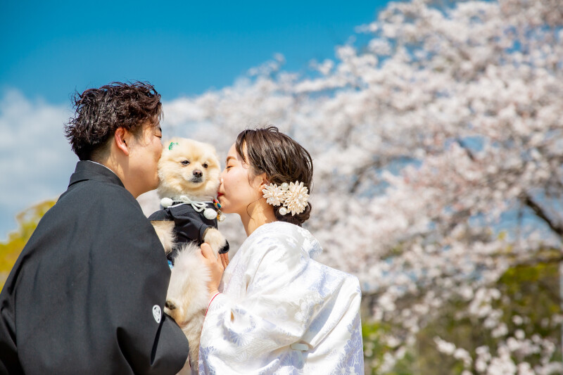 <ペットプラン>抱っこOK!白無垢Or色打掛☆夢のペット付き京都ロケプラン-新婦衣装1点1箇所ロケ 105,000円
