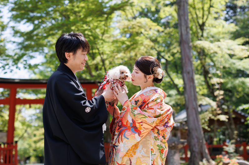 ＜選べるロケ地＞4月10日〜5月末　春のお花と新緑狙い　新緑が綺麗！衣装２点２ヶ所ロケ　&rarr;135,000円