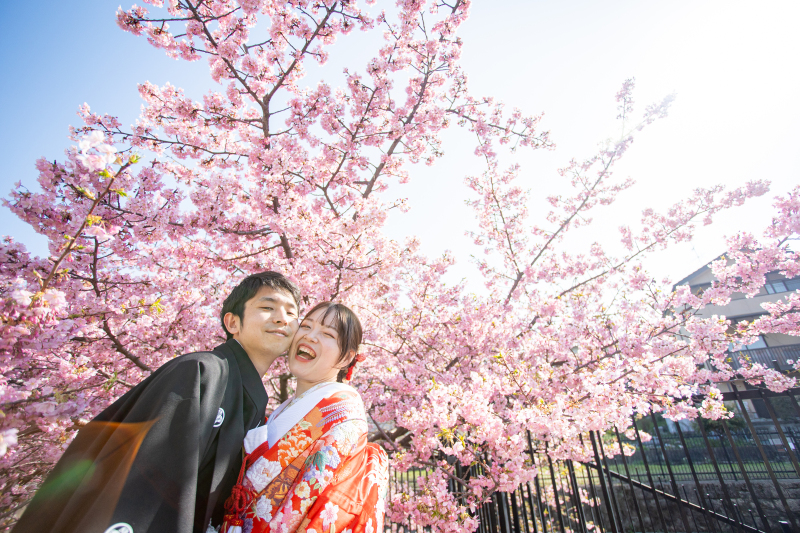 ＜10TH企画お試しP＞桜狙える？3月初旬河津桜&rarr;4月中旬八重桜　衣装１点打掛値上がり無し　ロケ地提案します！　10万円