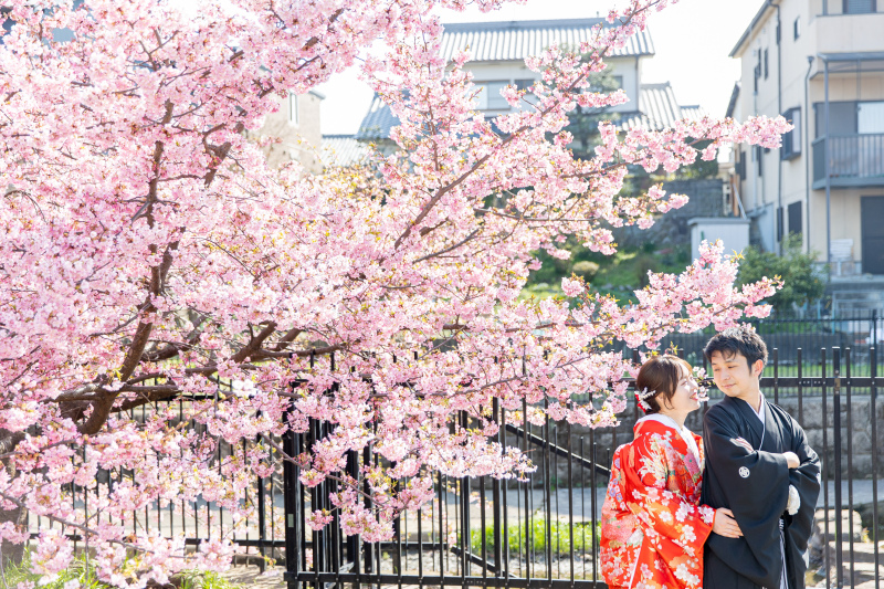 <早咲き桜か梅>河津桜狙い 3月1日〜3月22日★超早咲き桜狙い衣装2点2箇所149,800円 移動費8,800円付
