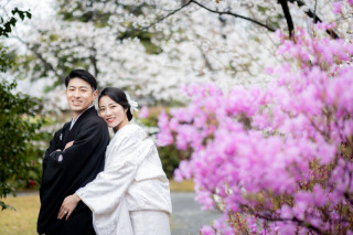 早期予約！＜桜シーズン＞白無垢色打掛両方☆選べるロケ地２箇所 →145,000円 1月末までに予約　打掛による値上がり無し