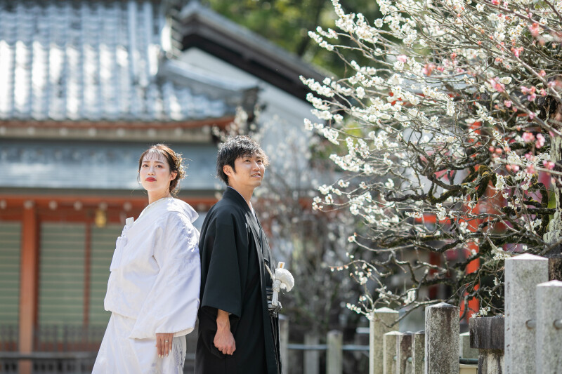 春は目の前3月プラン 白無垢色打掛両方着て お好きな場所2箇所 139,800円 3月1日〜3月21日まで