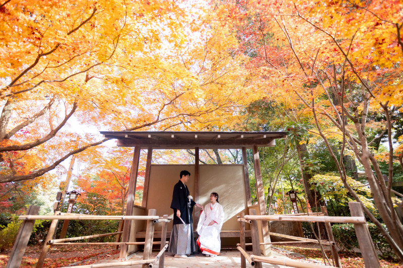 <お試しプラン>秋は終わらない?12月10日-12月末まで 衣装1点、ロケ地2ヶ所 10万2千円 白無垢色打掛どれでもOK!