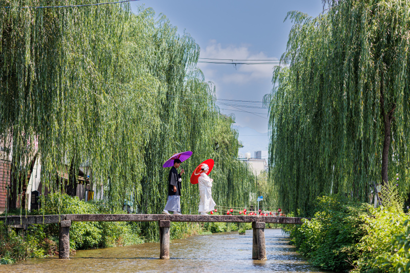 <お試し衣装1点プラン>紫陽花いいよね!5月6月7月限定1点1箇所ロケプラン 99,000円 スタジオ付き!