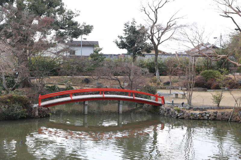 <新規ロケ地モデル募集>3万円以上のロケ地料金込み 1箇所はお客様の好きな場所で2箇所目はあざらし指定の場所で 衣装1点10万円