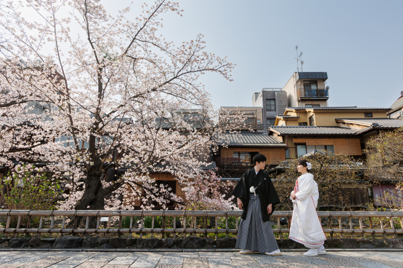 ＜10TH企画お試しP＞桜狙える？3月初旬河津桜&rarr;4月中旬八重桜　衣装１点打掛値上がり無し　ロケ地提案します！　10万円