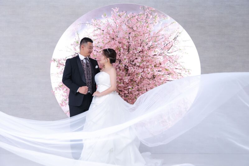 桜背景となびくロングベールの共演