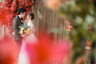 光を織り込んだ、静かな並び