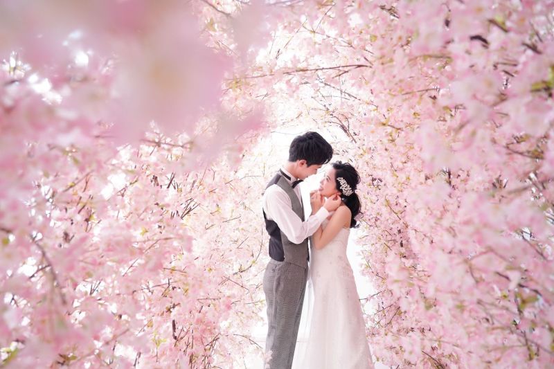 満開の桜の中で