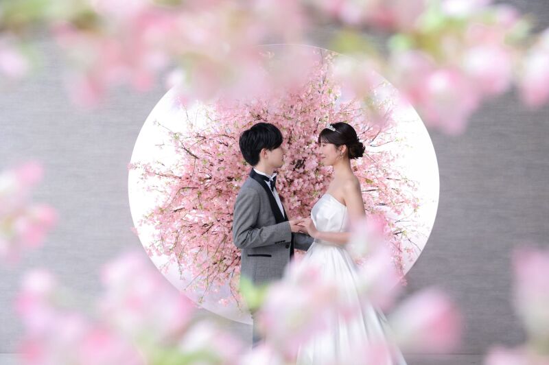 桜に包まれたロマンチックな向かい合い