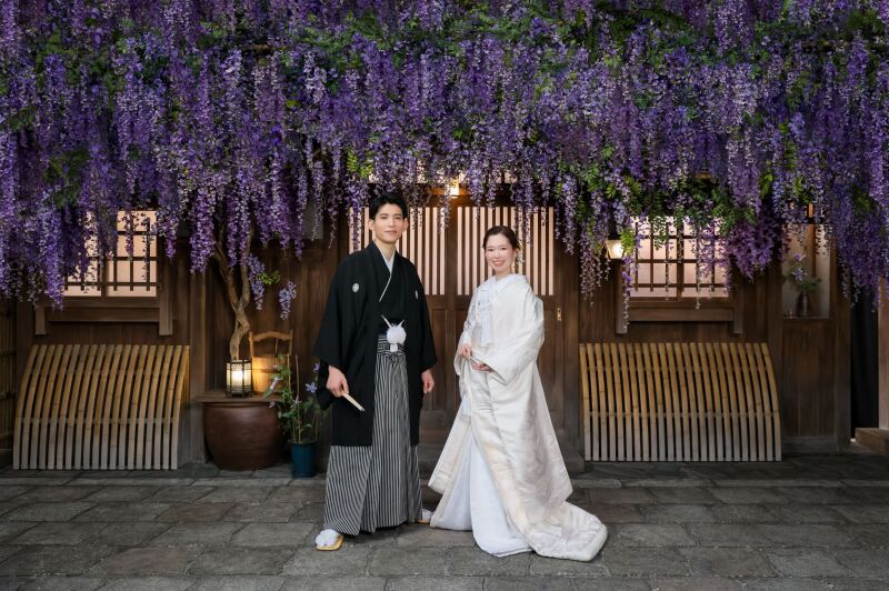 垂れ下がる紫藤の花の下で並ぶ白無垢と紋付姿