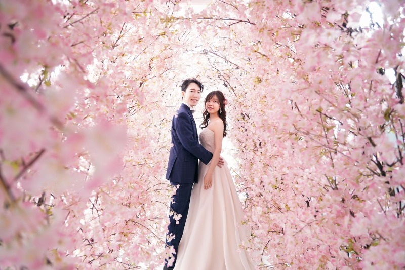 優しいピンクに囲まれて♪