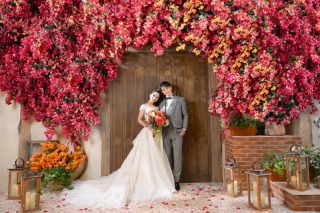 ブーゲンビリアのゲートの下で