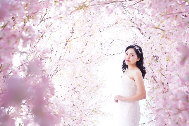 満開の桜に囲まれて