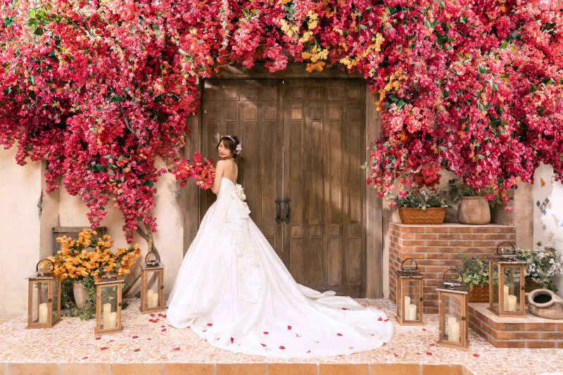 たくさんのブーゲンビリアを摘んで